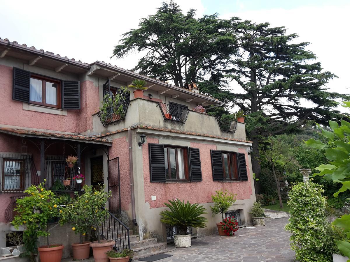 Bed&Breakfast "Fiorella" Sul Lago Castel Gandolfo Εξωτερικό φωτογραφία