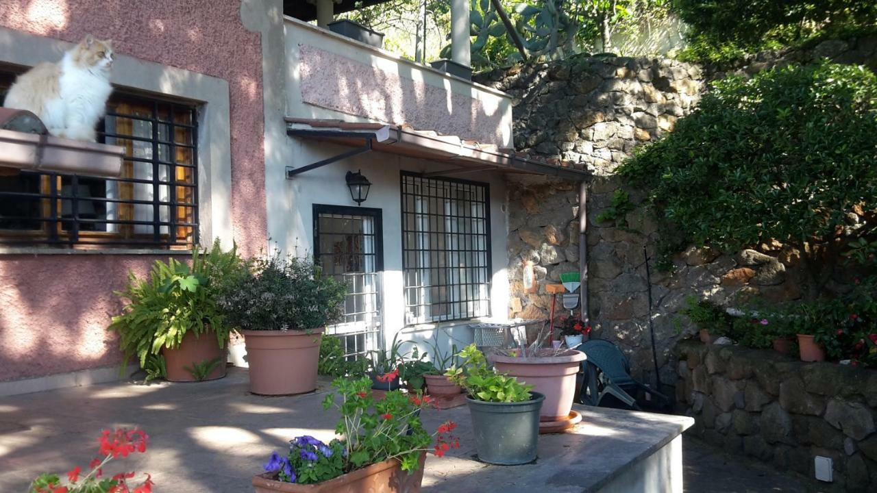Bed&Breakfast "Fiorella" Sul Lago Castel Gandolfo Εξωτερικό φωτογραφία